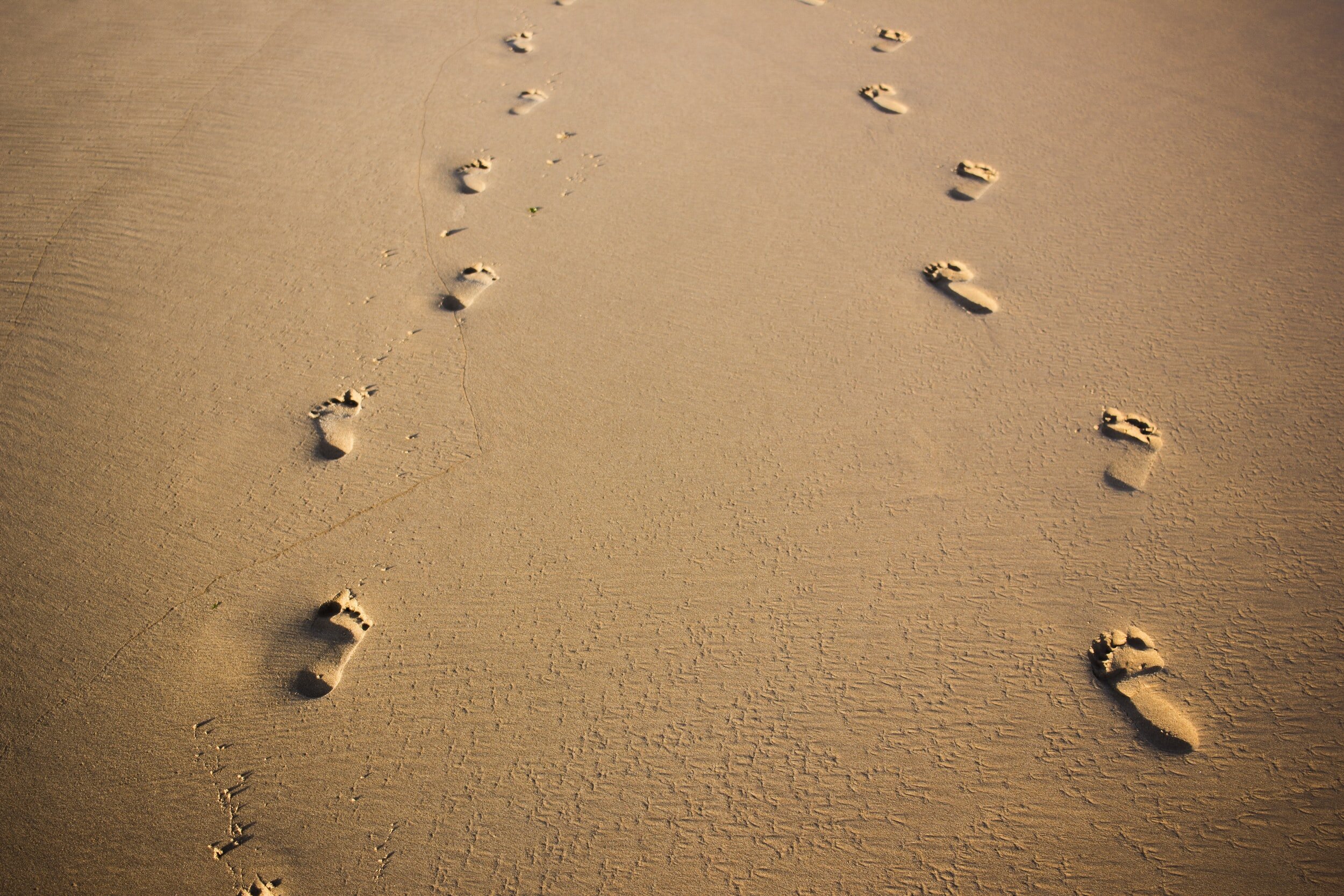 Footprints in the sand on a beach, showing a path winding through the sandy surface.