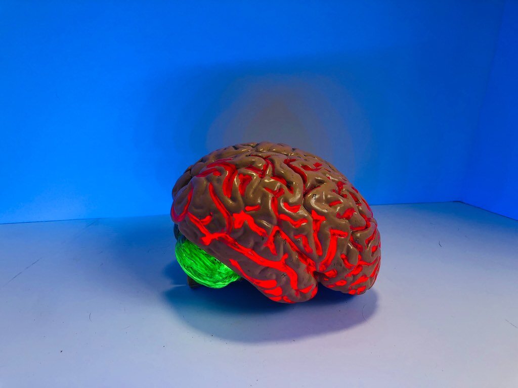 A red glowing, illuminated sculpture of a human brain set against a glowing blue background