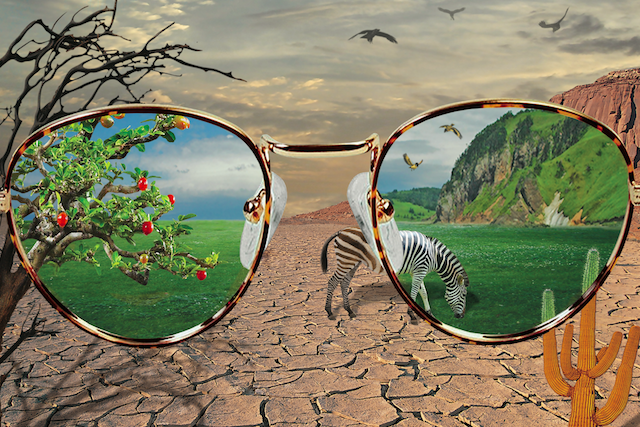 An artistic image of a pair of eyeglasses reflecting a vibrant, green landscape with a zebra and tree, set against a barren desert background.