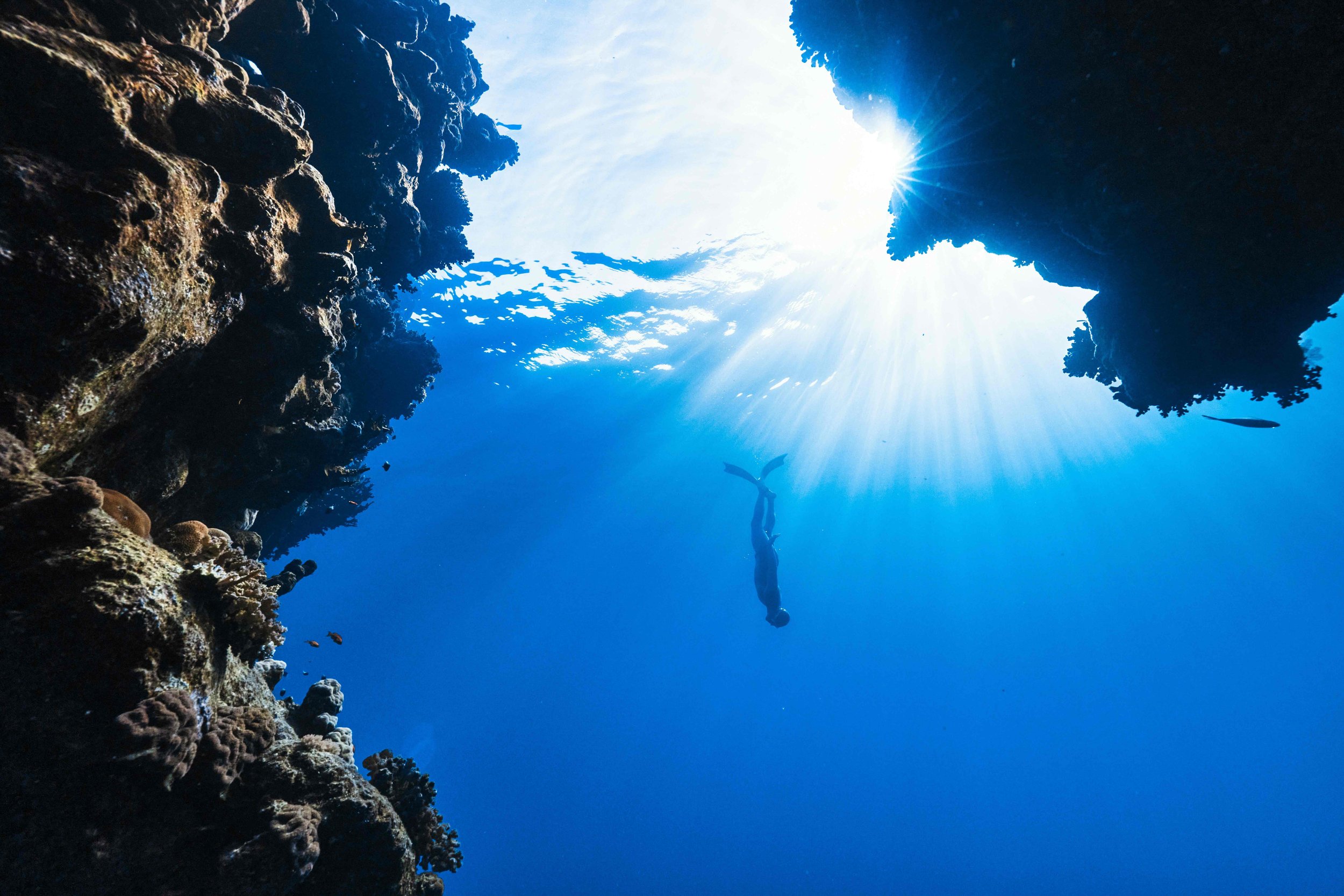 A person freediving underwater with sunlight filtering through the water above.