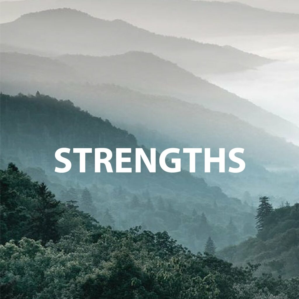 A misty mountain range view, labeled "STRENGTHS."