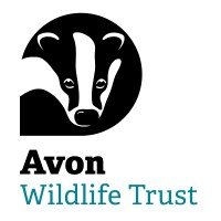 Logo of Avon Wildlife Trust featuring a stylized badger.