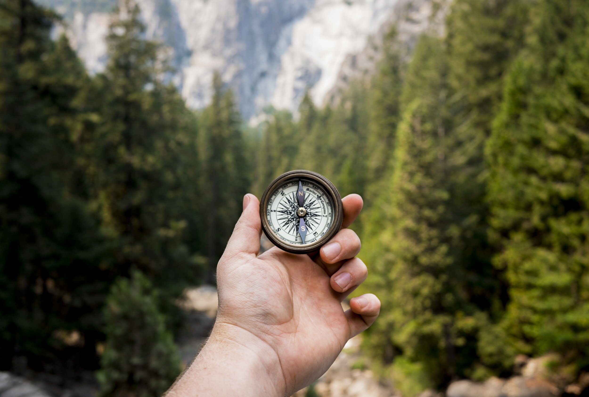 A hand holding a compass with a blurred forest in the background.