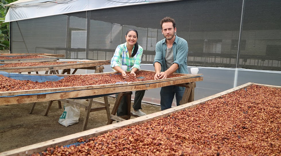 andre guzman Makicuna Coffee