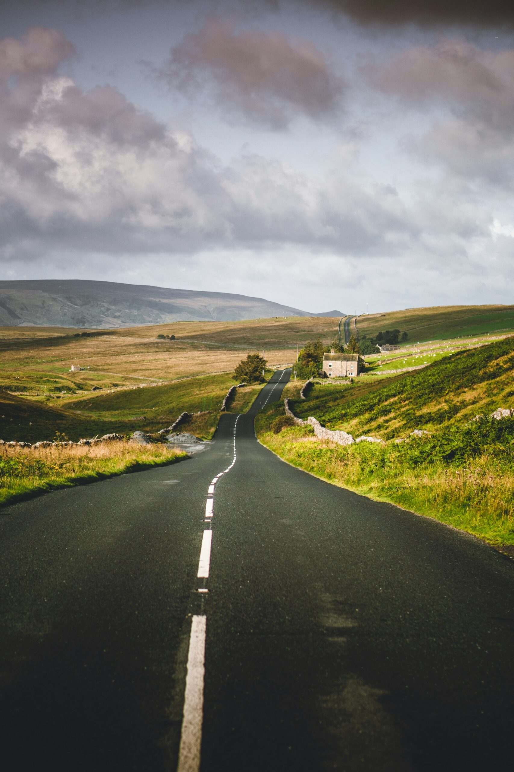 Road through natural landscape