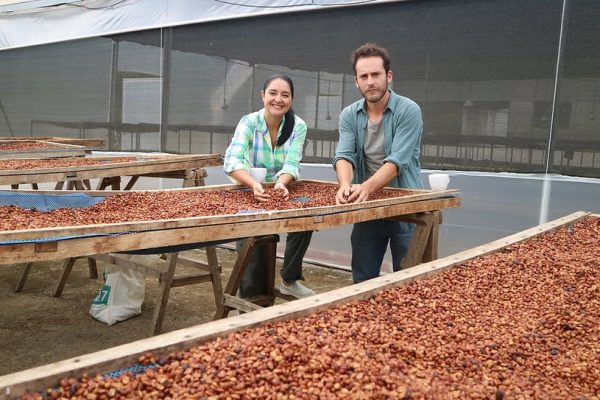 andre guzman Makicuna Coffee