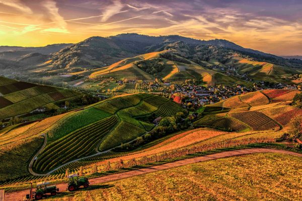 sunny mountain scene with crops